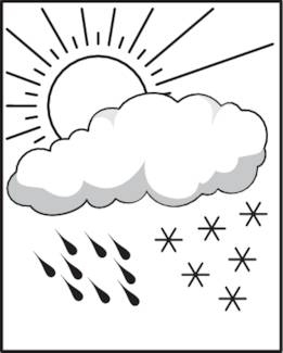 weather resistant