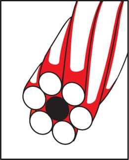 wire ropes